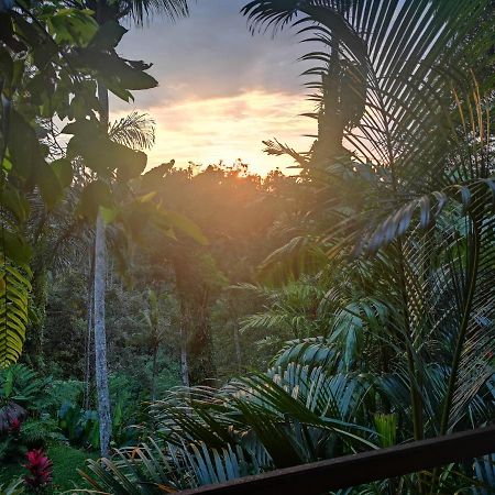 Villa Rimba Ubud Tegallalang  Exteriör bild