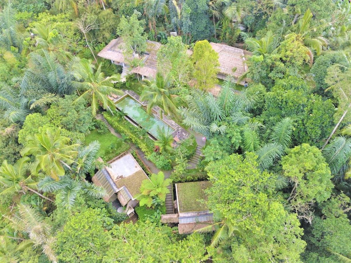 Villa Rimba Ubud Tegallalang  Exteriör bild