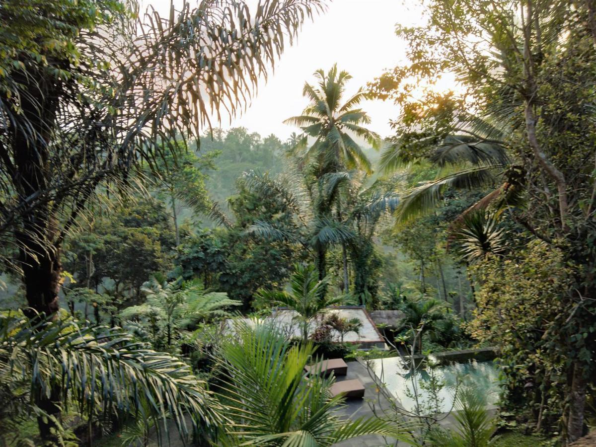 Villa Rimba Ubud Tegallalang  Exteriör bild