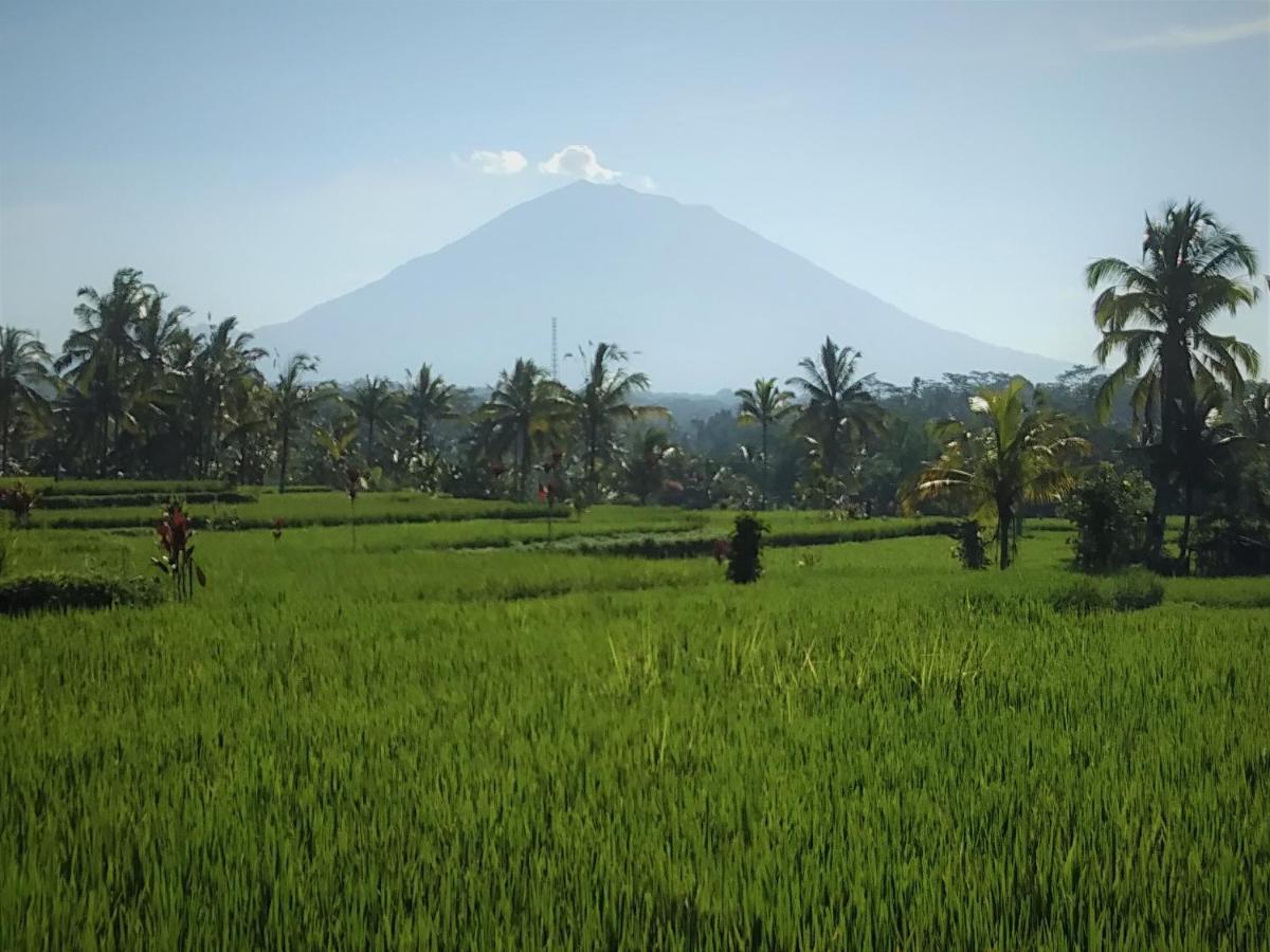 Villa Rimba Ubud Tegallalang  Exteriör bild