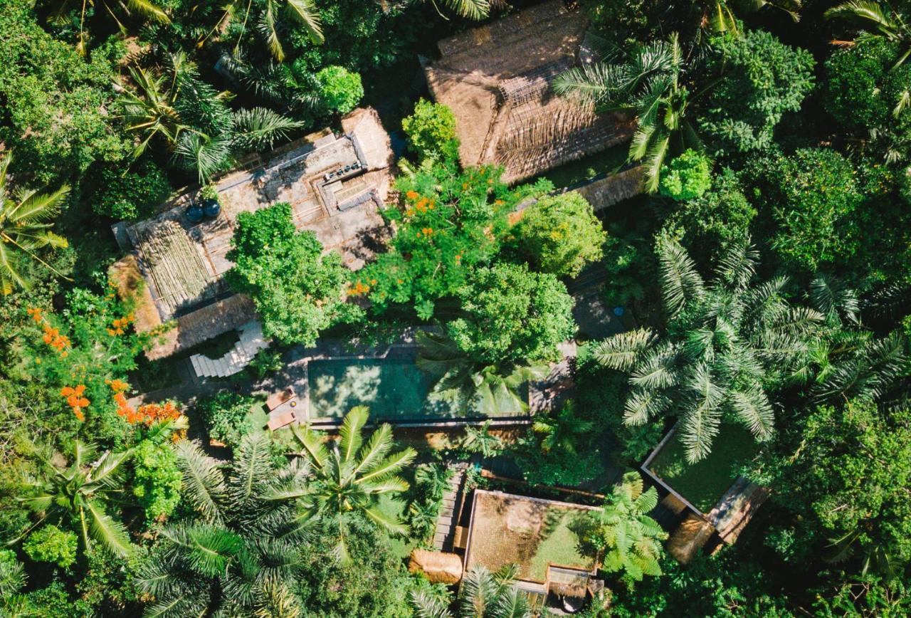 Villa Rimba Ubud Tegallalang  Exteriör bild