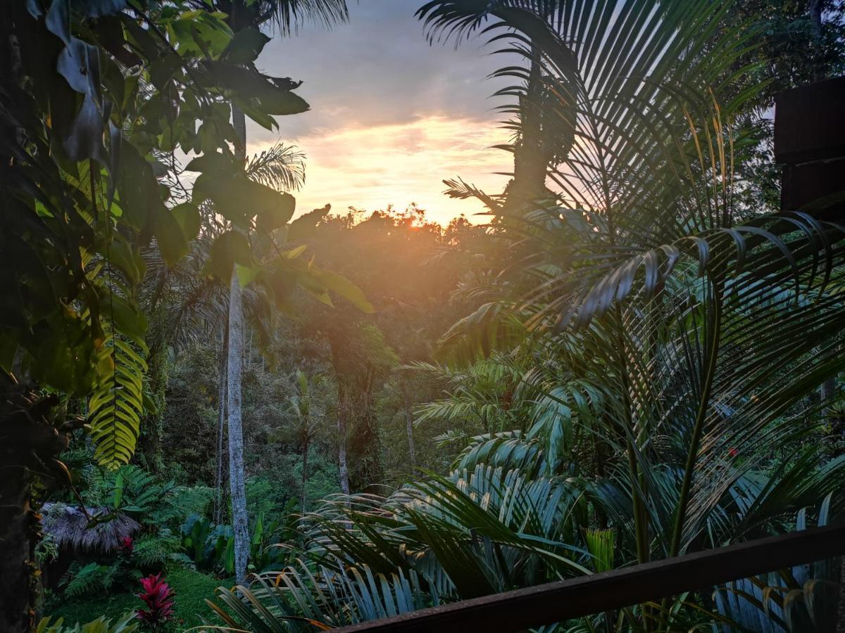 Villa Rimba Ubud Tegallalang  Exteriör bild