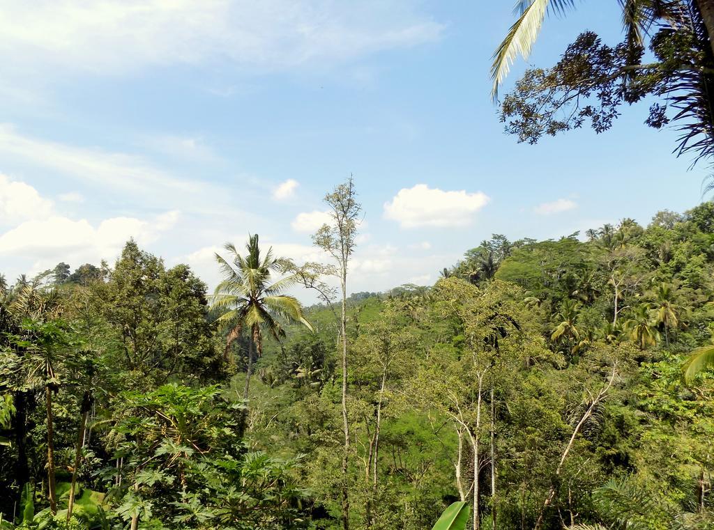 Villa Rimba Ubud Tegallalang  Exteriör bild